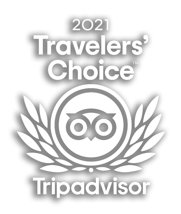 Tripadvisor travellers choice icon