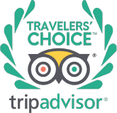 Tripadvisor travellers choice icon